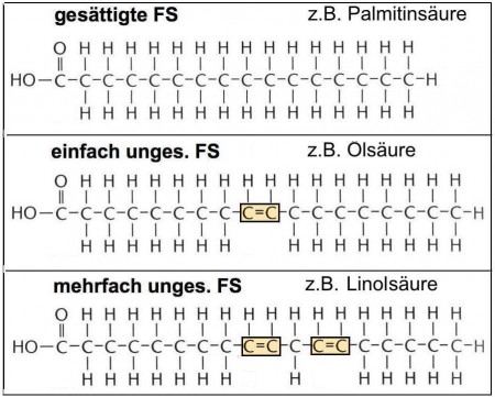AB 1_2.2 Fette - etwas genauer betrachtet