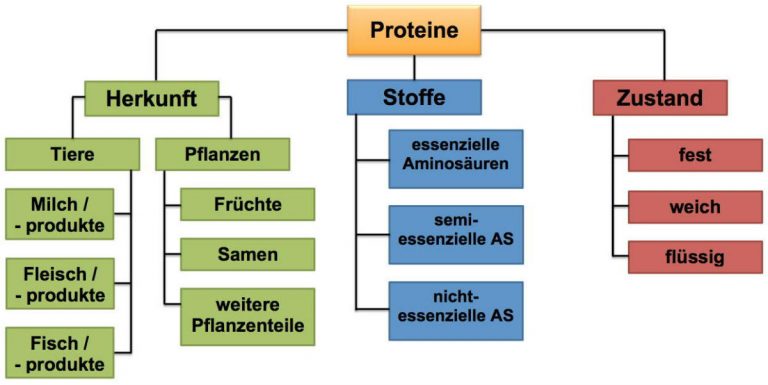 Kap. 2.3 Proteine - das sind fast Alleskönner