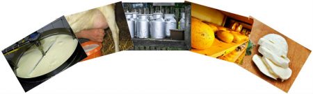 AB 6 2 3 Milch Ein Weites Feld ab-6-2-3-milch-ein-weites-feld