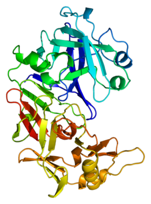 Exkurs B Enzyme Ohne Sie Geht Gar Nichts Teil 1 exkurs-b-enzyme-ohne-sie-geht-gar-nichts-teil-1