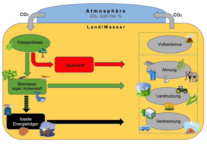 AV EB_6 Biokraftstoffe aus Pflanzen Reststoffen und Mikroorganismen