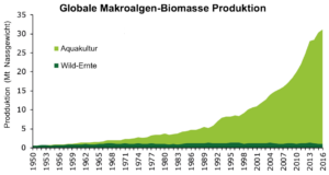 Biokraftstoffe Algenbiomasse