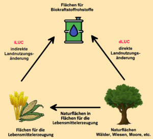 Biokraftstoffe Algen